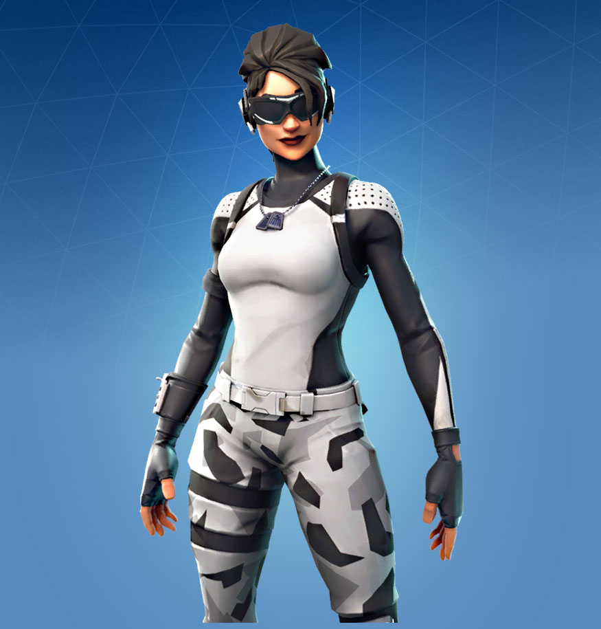 Arctic Assassin Skin