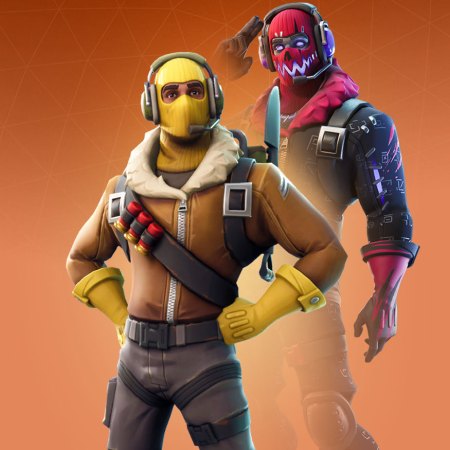 Raptor skin