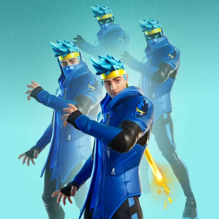 Ninja skin