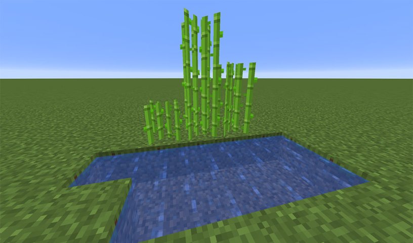 Sugar cane example