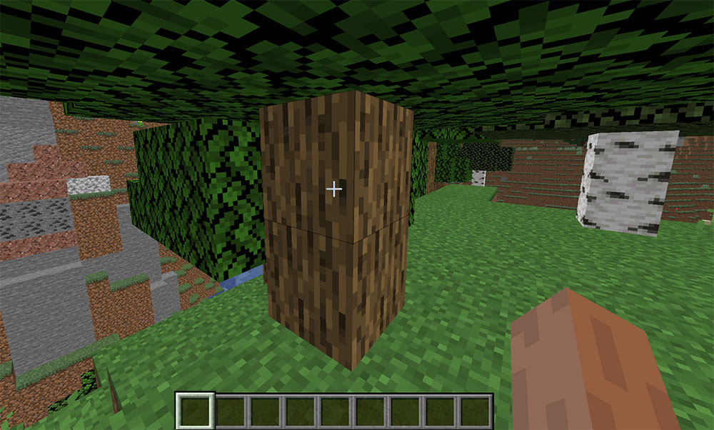 Tree trunk example