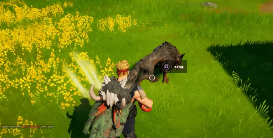 A Fortnite character taming a wolf.