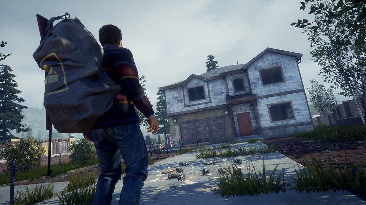 state of decay 2