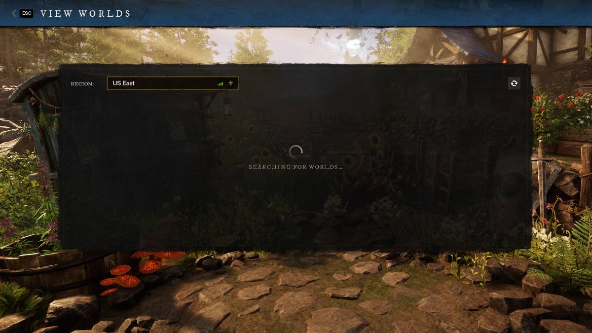 Connection error in New World