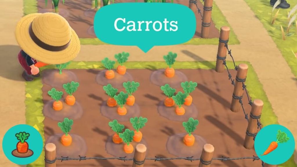 Carrots