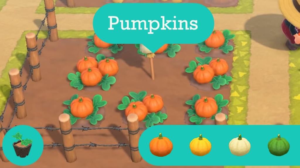 Pumpkins