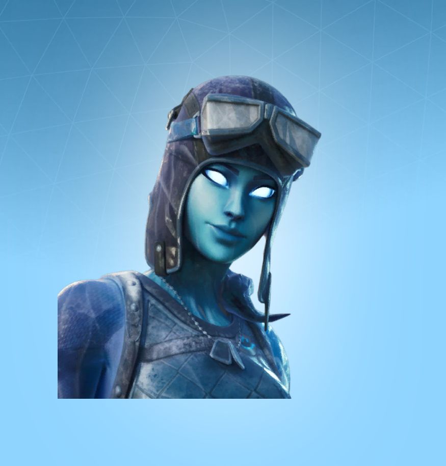 Permafrost Raider Skin