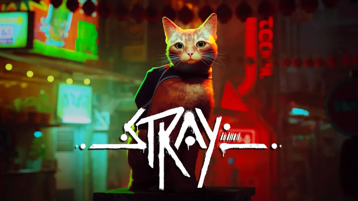 Stray Review