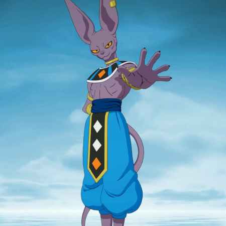 Beerus skin