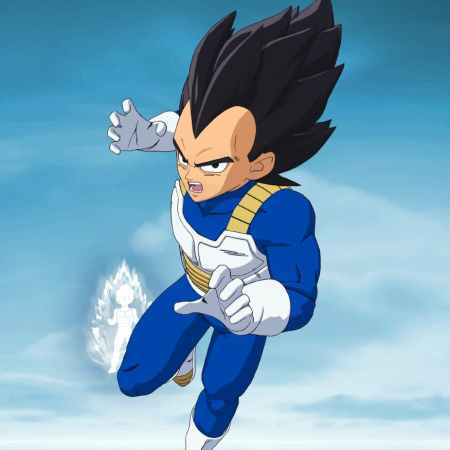 Vegeta skin