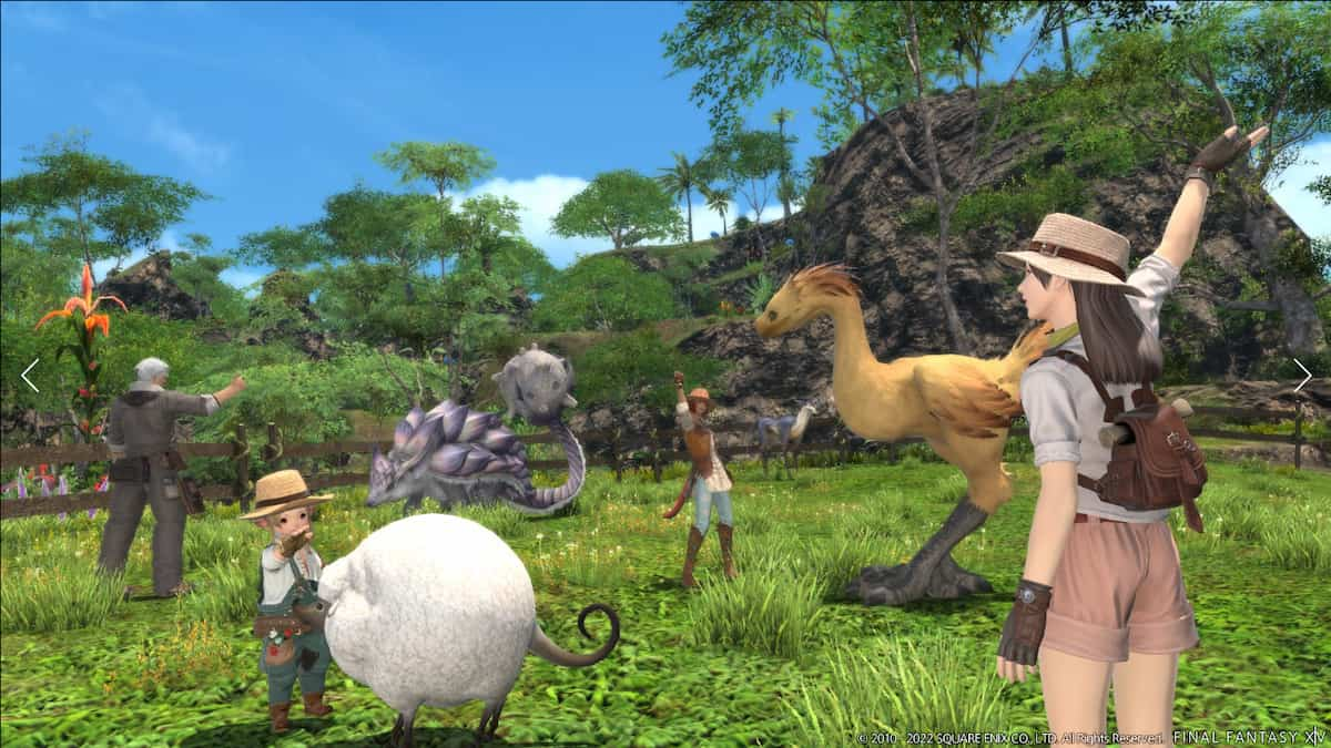 Final Fantasy XIV Sanctuary Island animals