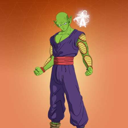 Piccolo skin